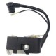 Зажигание в сборе (магнето, катушка зажигания)BC/GBC-043/052 SD-master Хопер